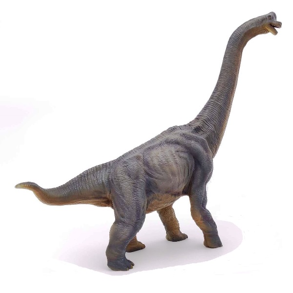 恐竜フィギュア Papo パポ Dinosaurs ダイナソー ブラキオサウルス 55030 ヨーロッパのおもちゃ 木のおもちゃ 通販 アクトハオ 森のこびと